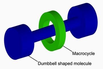 Rotaxane — Wikipédia