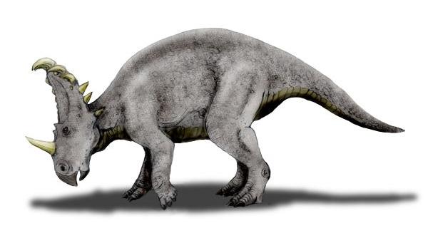 Sinoceratops — Wikipédia