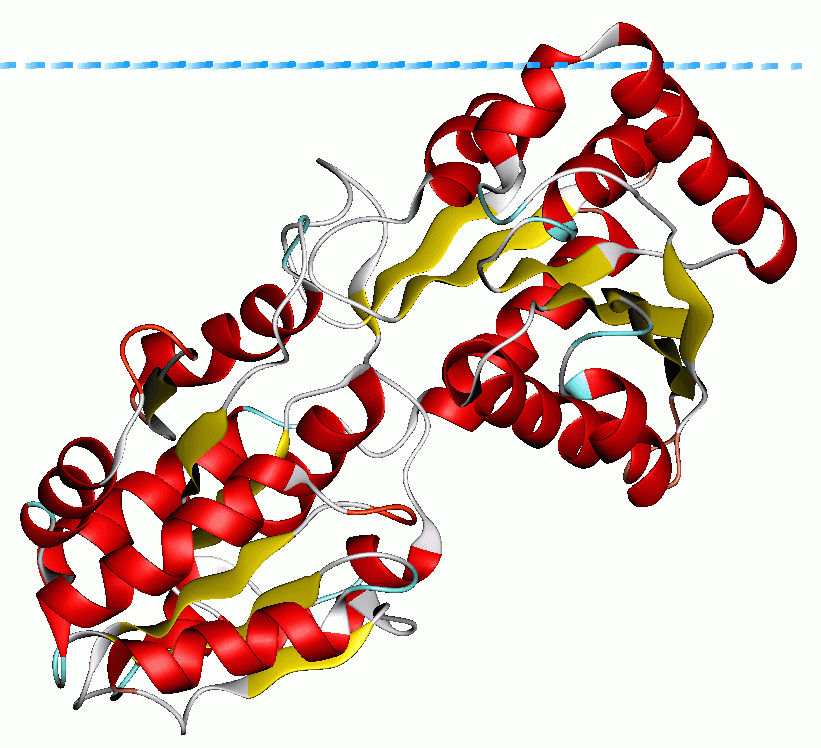 Glycosyltransférase — Wikipédia