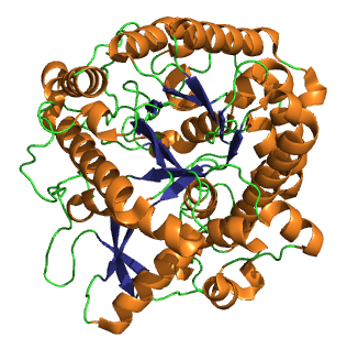 Myrosinase - Wikipedia