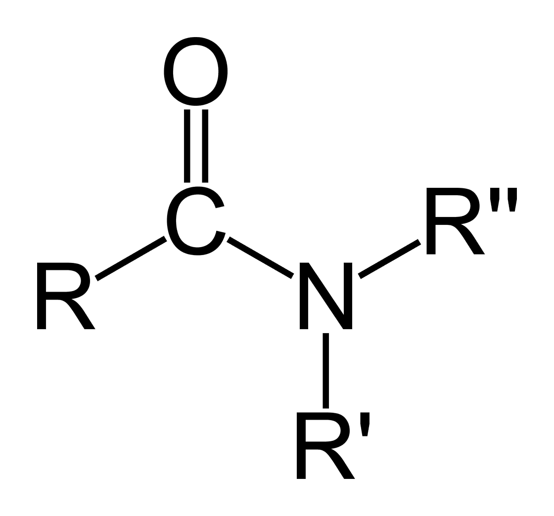 Amide — Wikipédia