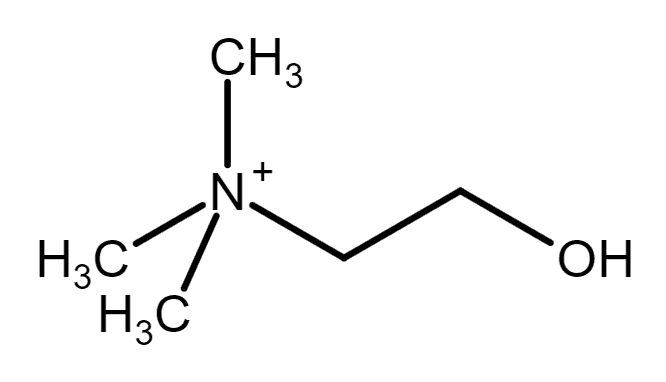 Choline - Wikipedia