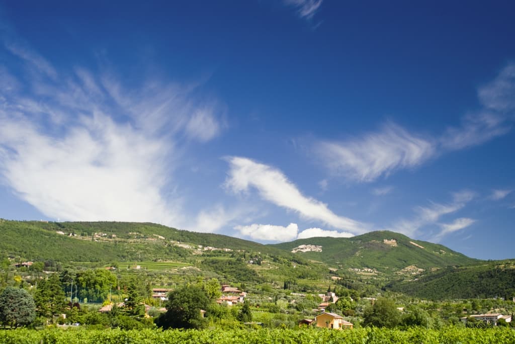 Valpolicella - Wikipedia