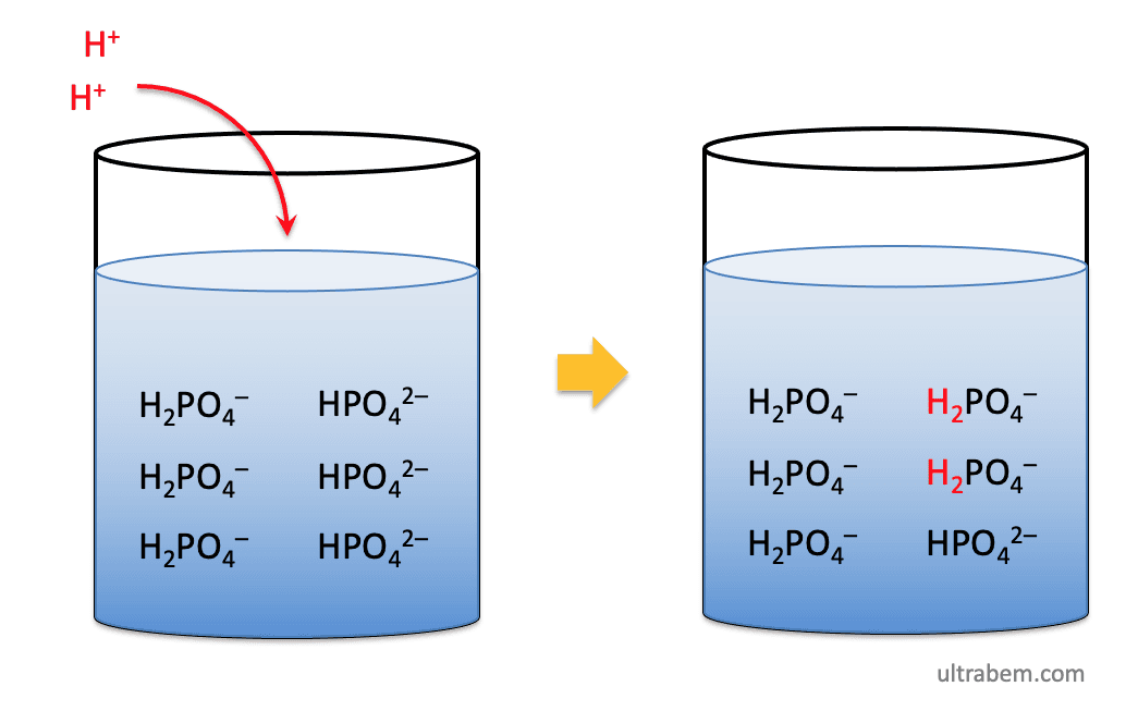 Solution tampon — Wikipédia