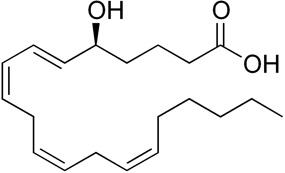 5-Hydroxyeicosatetraenoic acid - Wikipedia