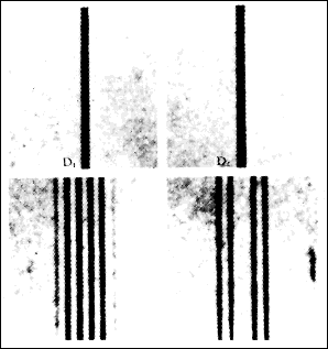 Effet Zeeman — Wikipédia