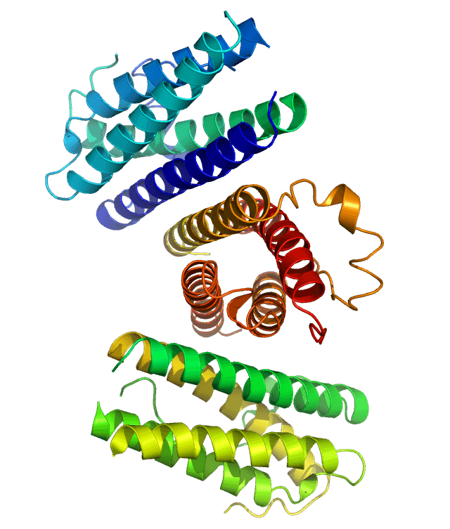 Granulocyte colony-stimulating factor - Wikipedia