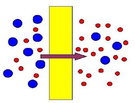 Membrane synthétique — Wikipédia