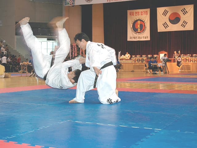 Hapkido — Wikipédia