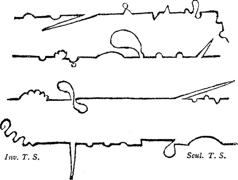 Narration non linéaire — Wikipédia