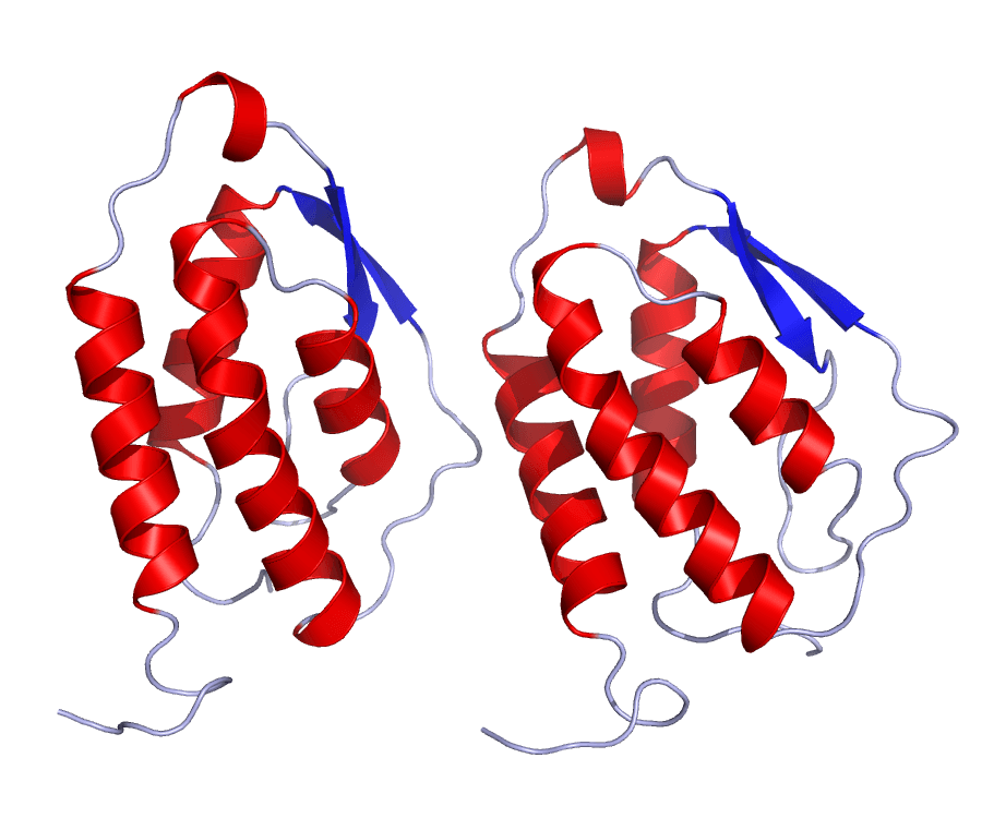 Granulocyte-macrophage colony-stimulating factor - Wikipedia