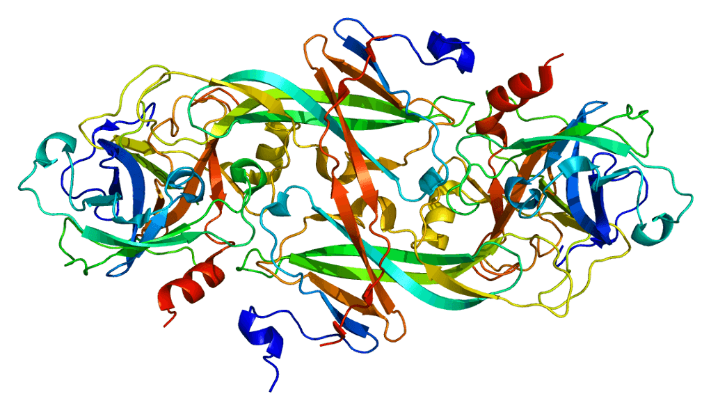 Haemophilia C - Wikipedia