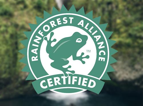 Rainforest Alliance — Wikipédia