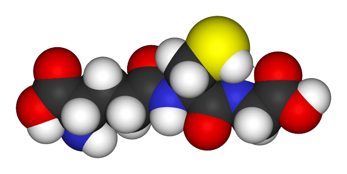 Antioxydant — Wikipédia