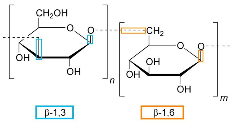 bêta-Glucane — Wikipédia