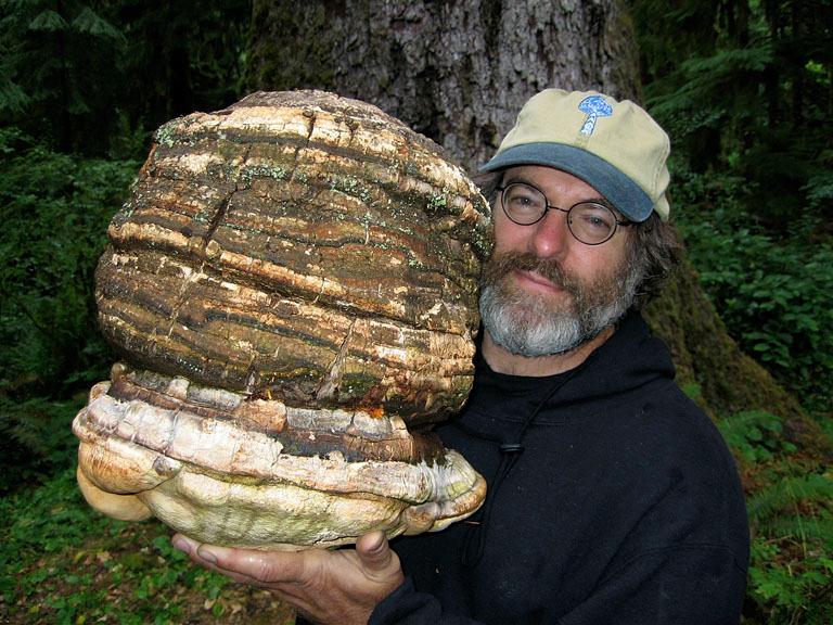 Paul Stamets - Wikipedia