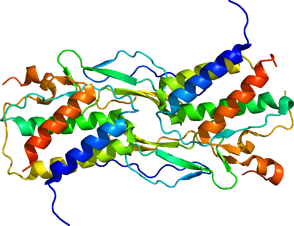 Interleukin 15 - Wikipedia