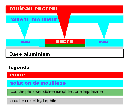 Photopolymère — Wikipédia