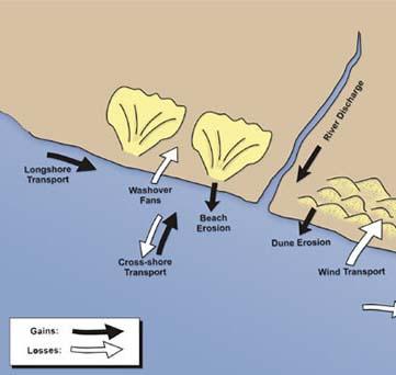 Sedimentary budget - Wikipedia