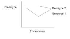 Gene–environment interaction - Wikipedia