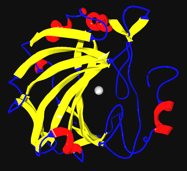 Anhydrase carbonique — Wikipédia