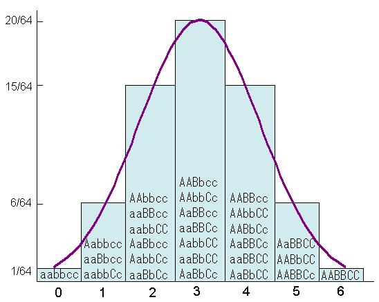 Locus de caractères quantitatifs — Wikipédia