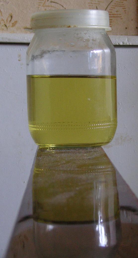 Analyse d'urine — Wikipédia