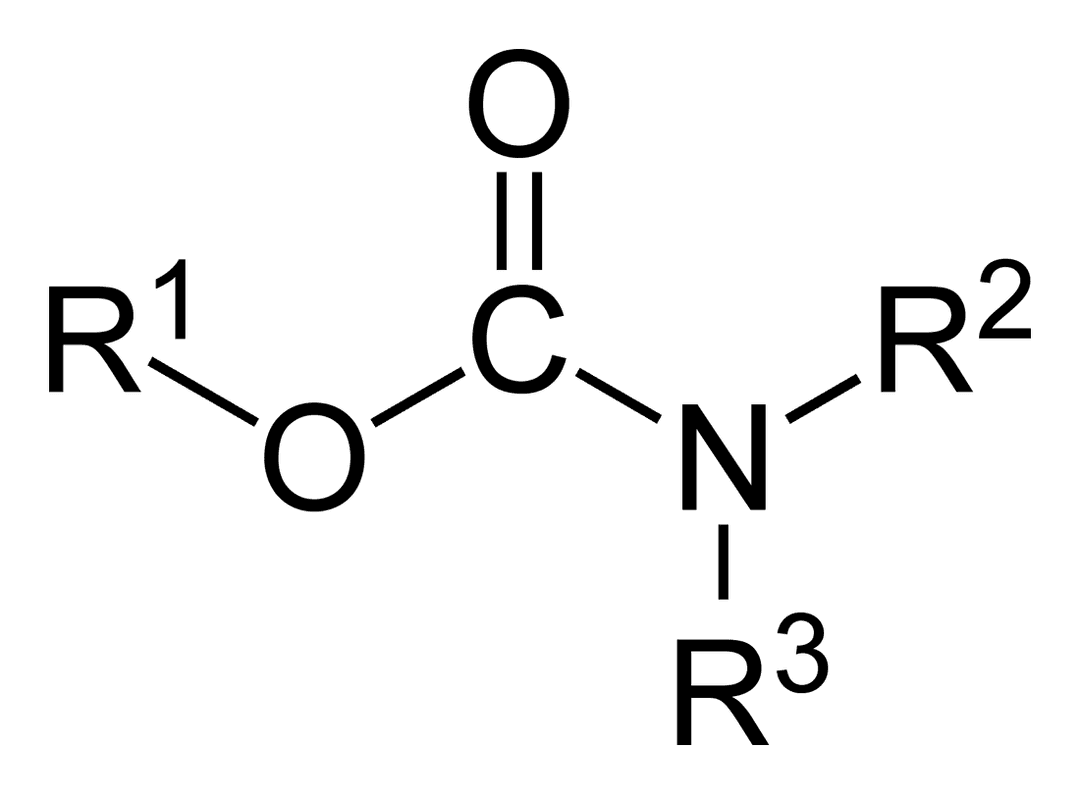 Carbamate - Wikipedia