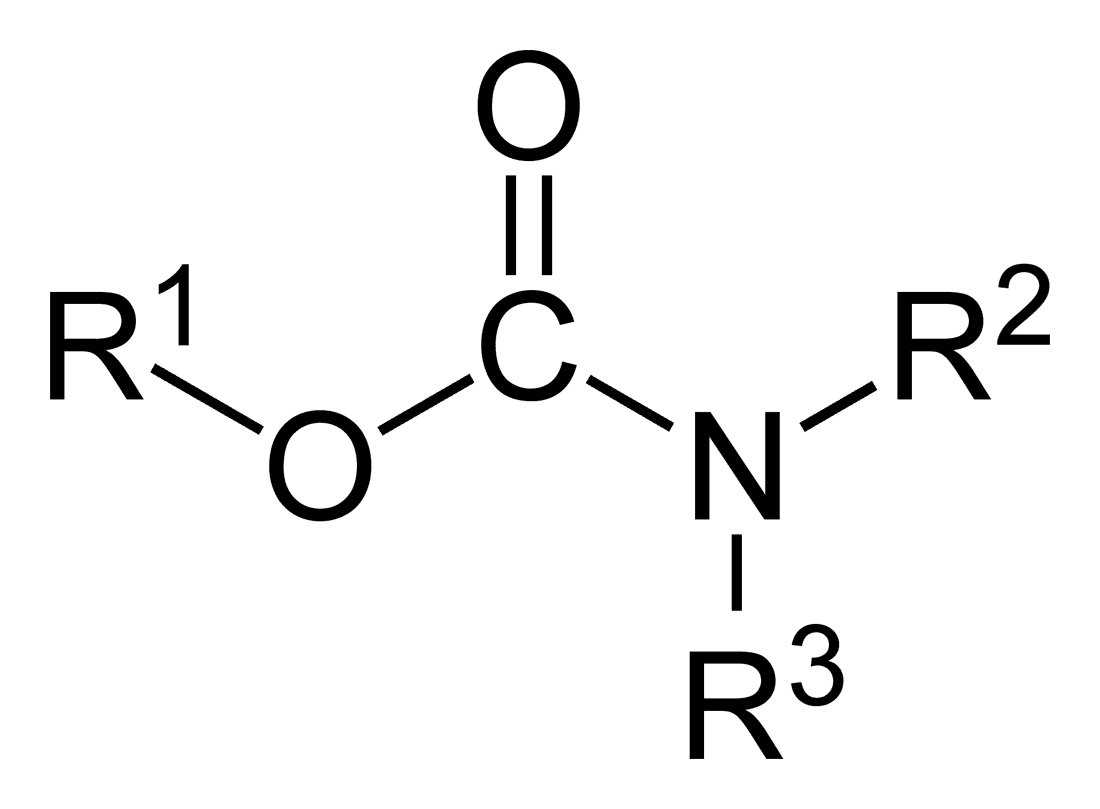 Carbamate - Wikipedia