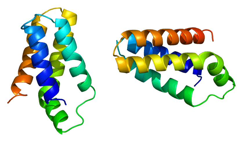 mTOR - Wikipedia