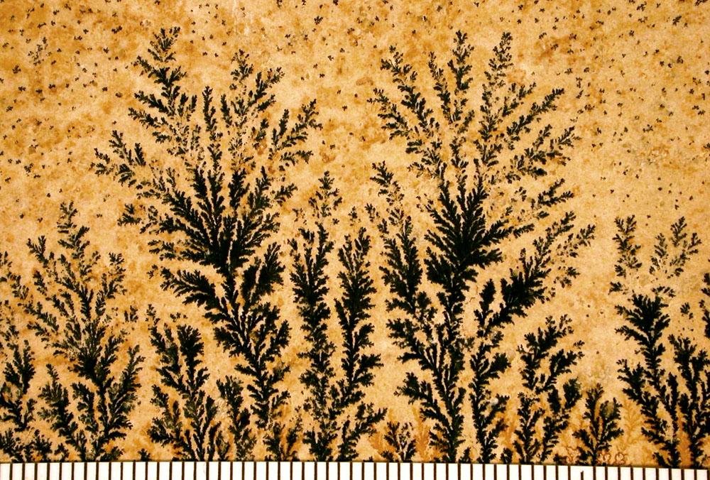 Dendrite (crystal) - Wikipedia