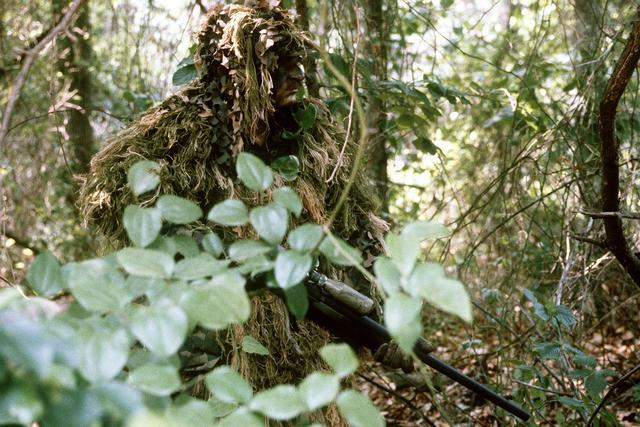 Military camouflage - Wikipedia