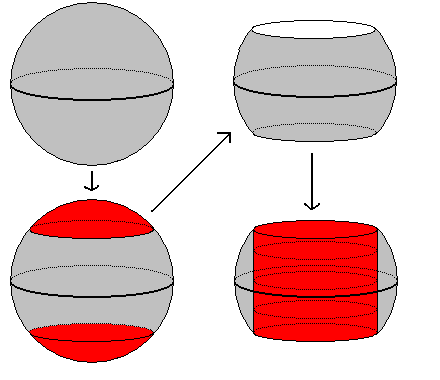 Chirurgie (topologie) — Wikipédia