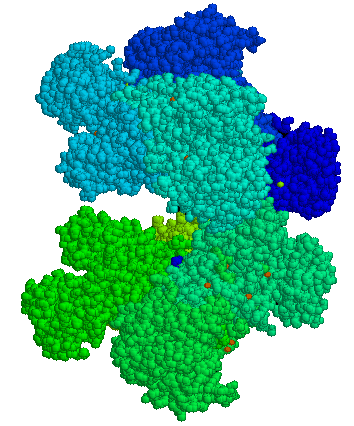 Déficit en glucose-6-phosphate déshydrogénase — Wikipédia