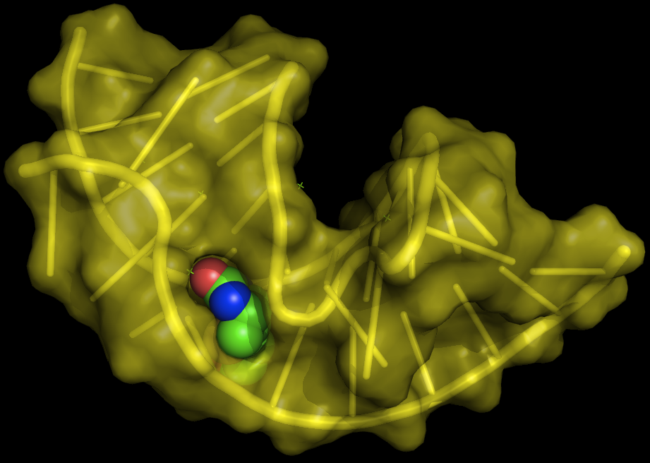 Aptamère — Wikipédia