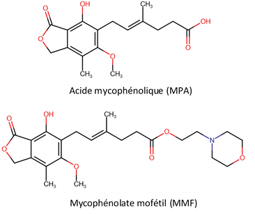 Acide mycophénolique — Wikipédia