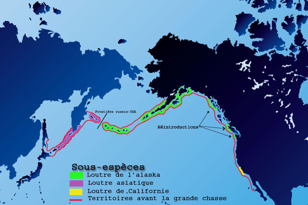 Traite de la fourrure maritime — Wikipédia