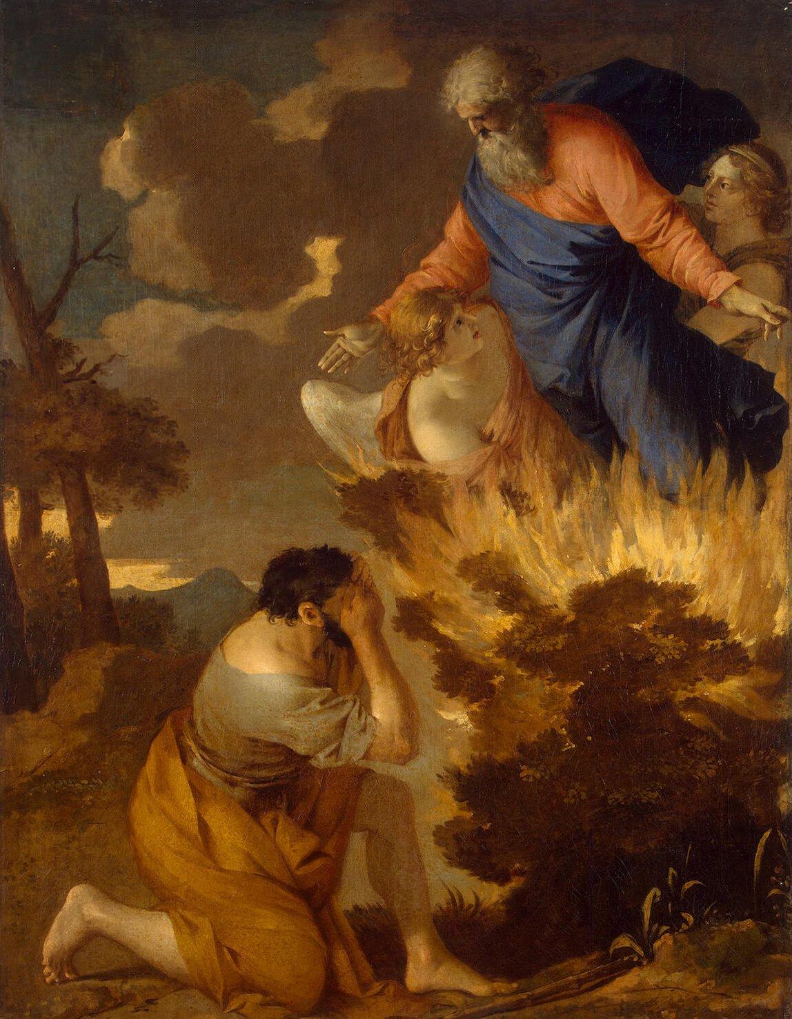 Burning bush - Wikipedia