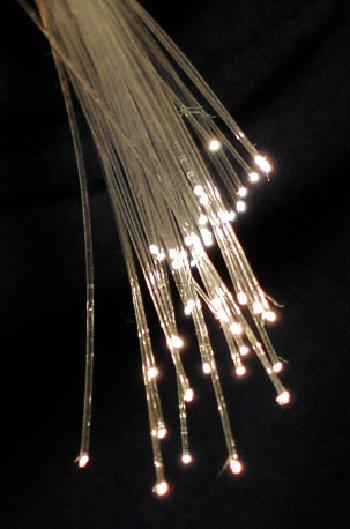 Fiber - Wikipedia