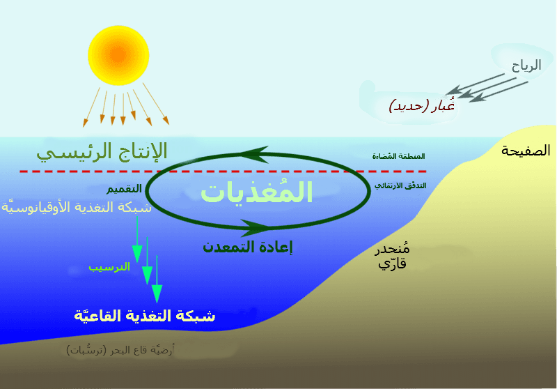 Cycle des nutriments — Wikipédia