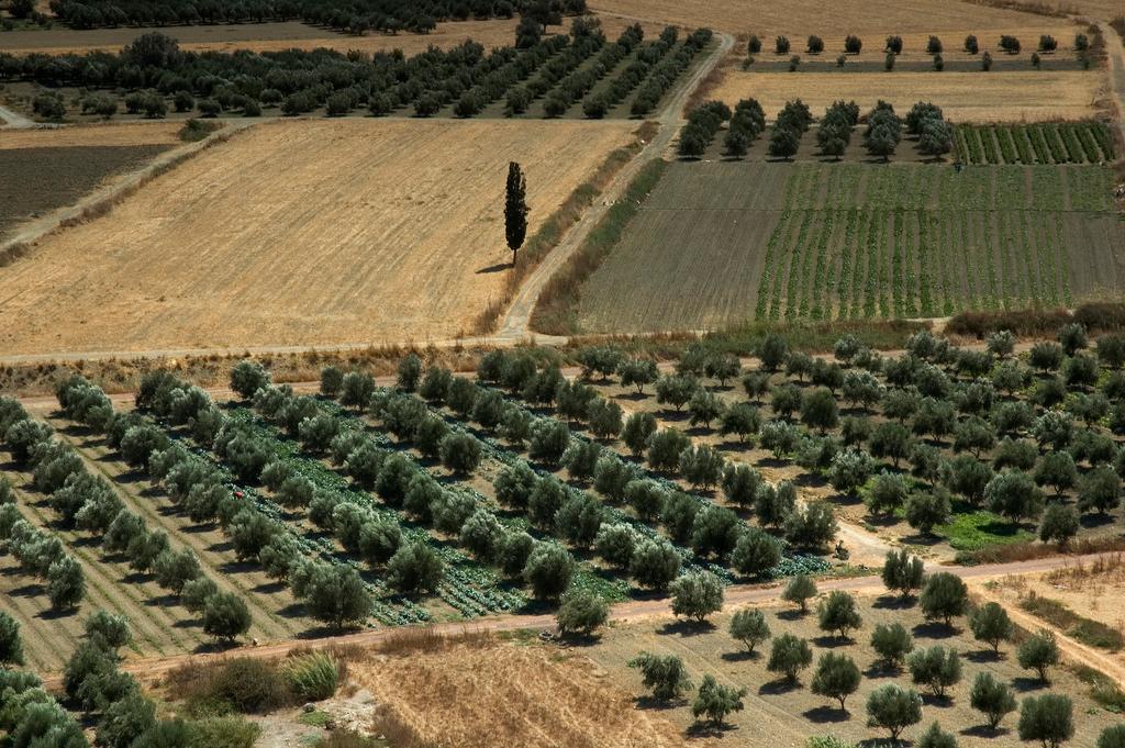 Agriculture in Greece - Wikipedia