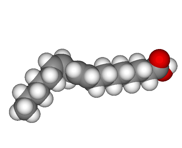 Polyunsaturated fat - Wikipedia