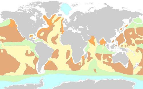 Sédimentation marine — Wikipédia