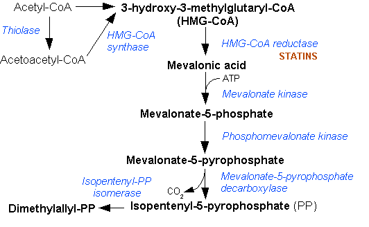 Pyrophosphate de géranyle — Wikipédia