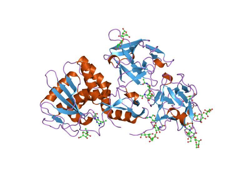 Cytotoxicité — Wikipédia