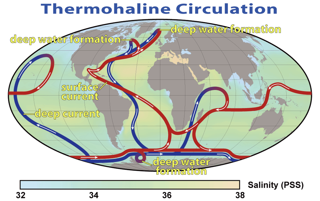 Oceanography - Wikipedia