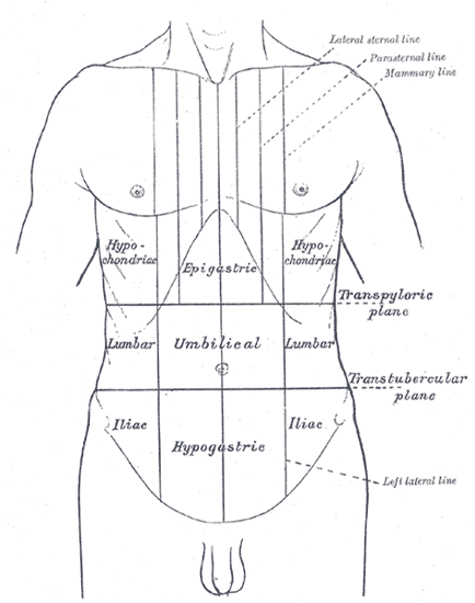 Douleur abdominale — Wikipédia