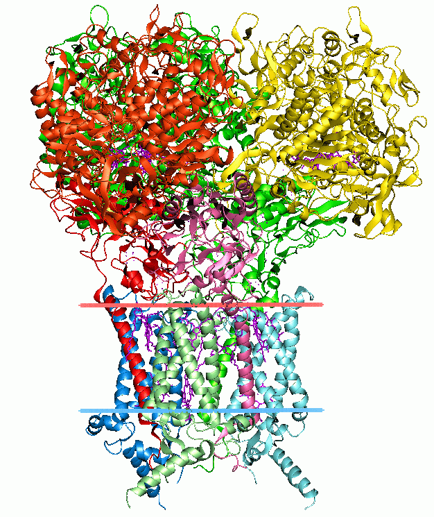 Structural bioinformatics - Wikipedia