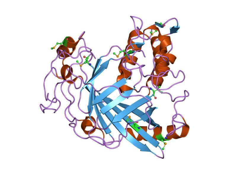 Luciferase - Wikipedia