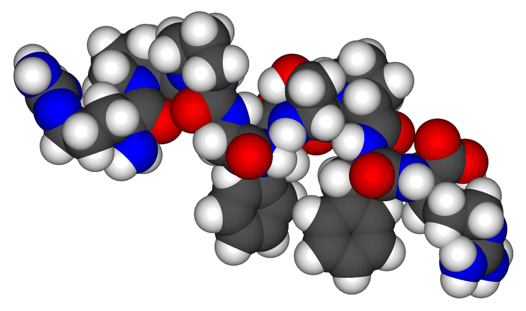 Bradykinin - Wikipedia